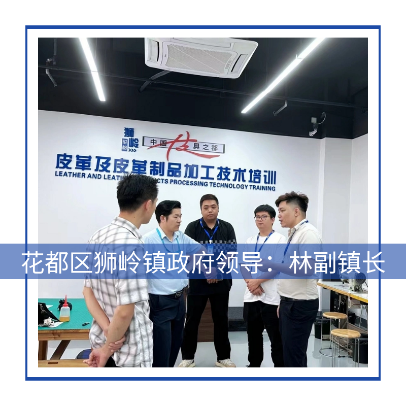 区/镇领导指导工作(图4) 4林副镇长.png